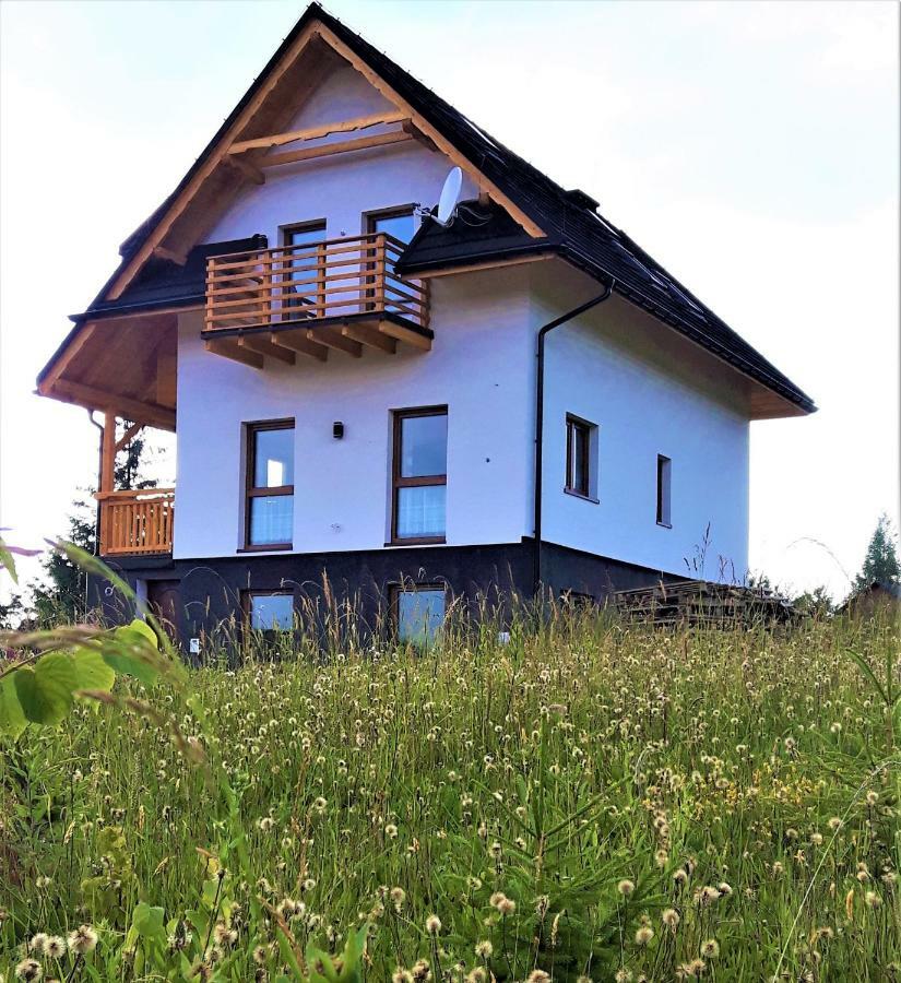 Wielki Potok Apartment Istebna